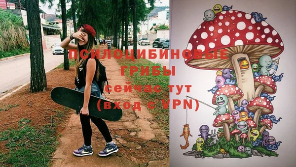 стаф Волоколамск