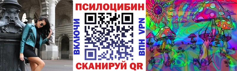 Купить  Суздаль  Псилоцибиновые грибы ЛСД 